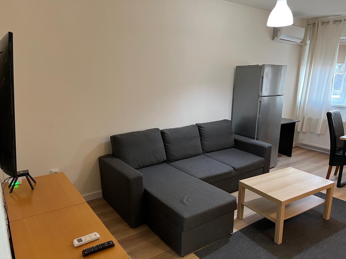 Living room sofa and TV